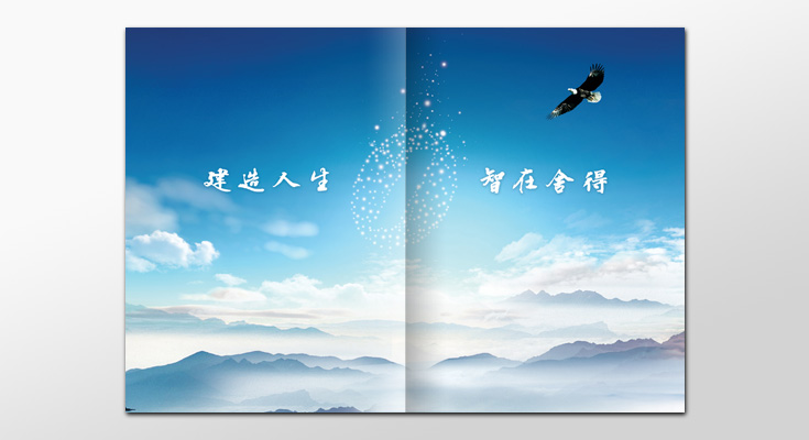 智多星公司画册